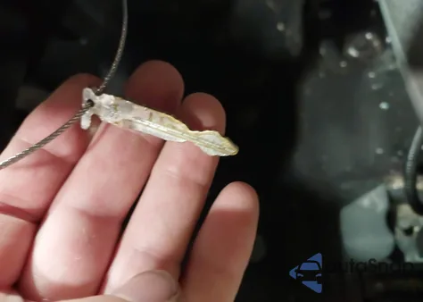 2011 Ford F-150 Xlt z USA, uszkodzony, nr VIN 1FTFX1EF9BFD31488